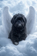 Custom Canvas Print
