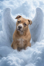 Custom Paint By Numbers Kit