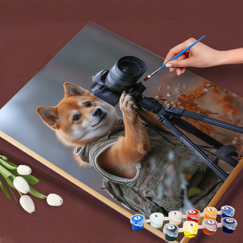 Wildlife Photographer