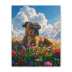 Canvas straight-on