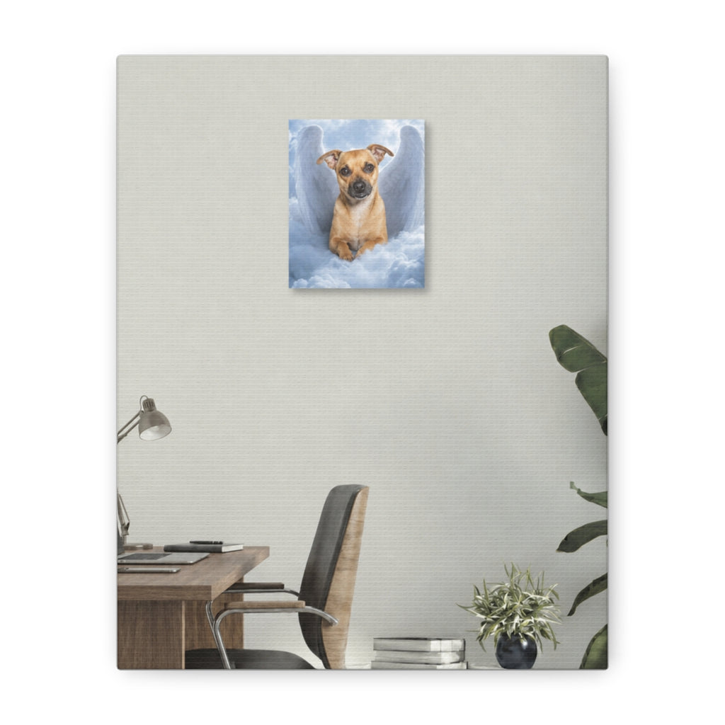 Canvas straight-on