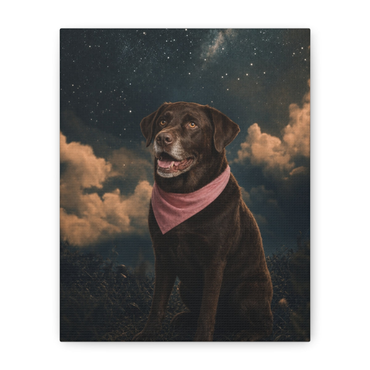 Canvas straight-on