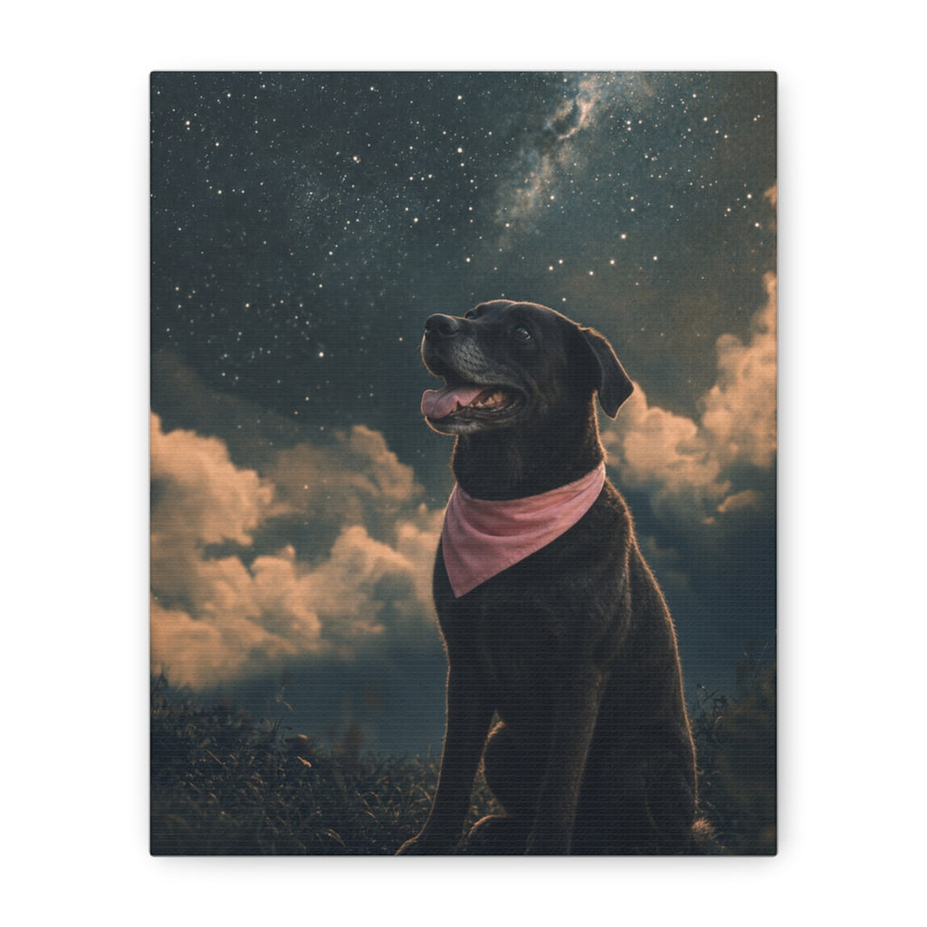 Canvas straight-on
