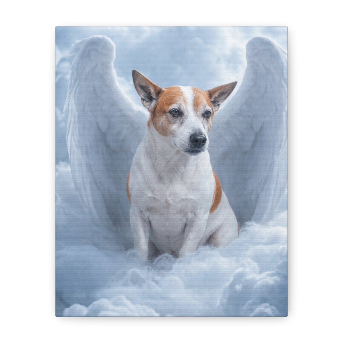 Canvas straight-on