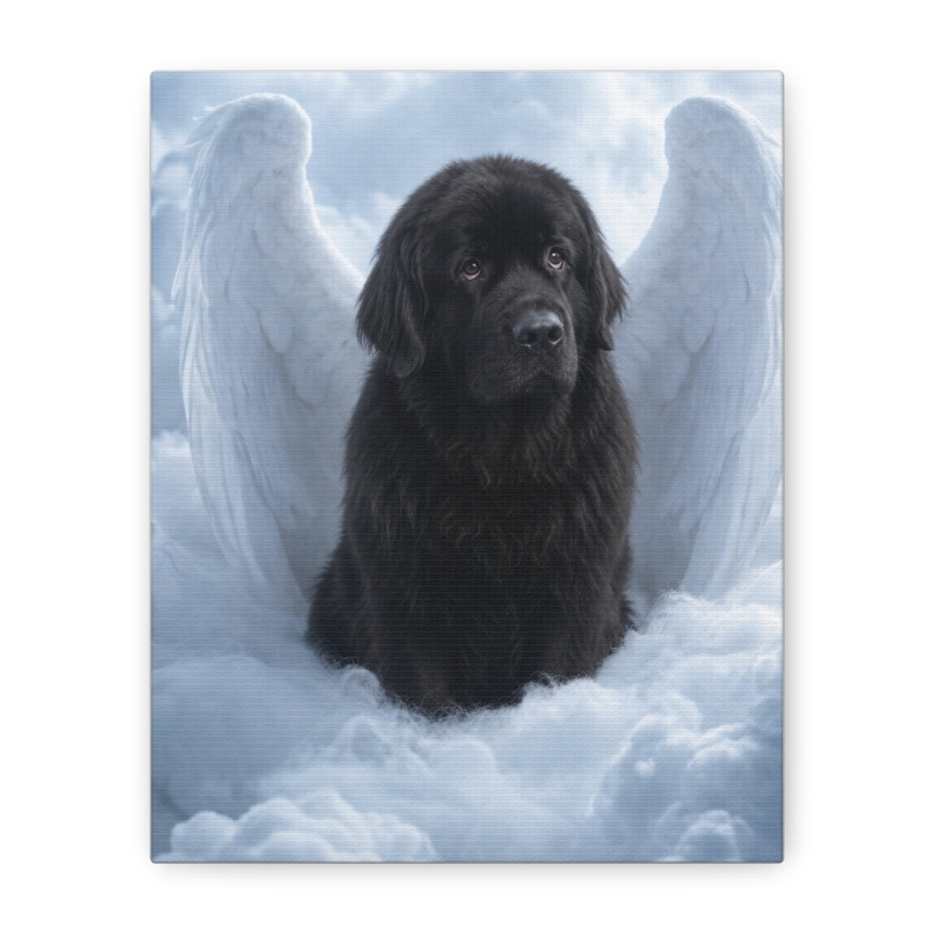 Canvas straight-on