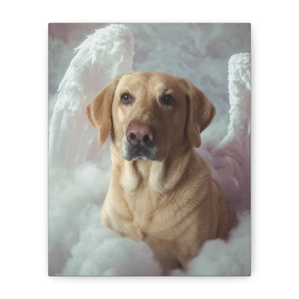 Canvas straight-on
