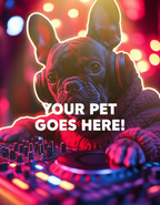 DJ Night Beats