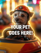 Bumper Car Racer