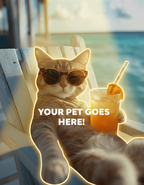 Beachside Cool Cat