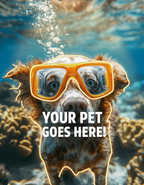 Scuba Reef Explorer