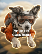 Skydiving Ace