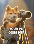 Wildlife Photographer