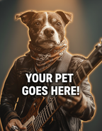 Heavy Metal Strummer