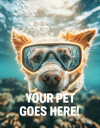 Underwater Explorer