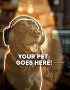 Studio Crooner