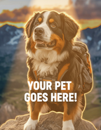 Mountain Trek Hero