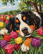 Original Art