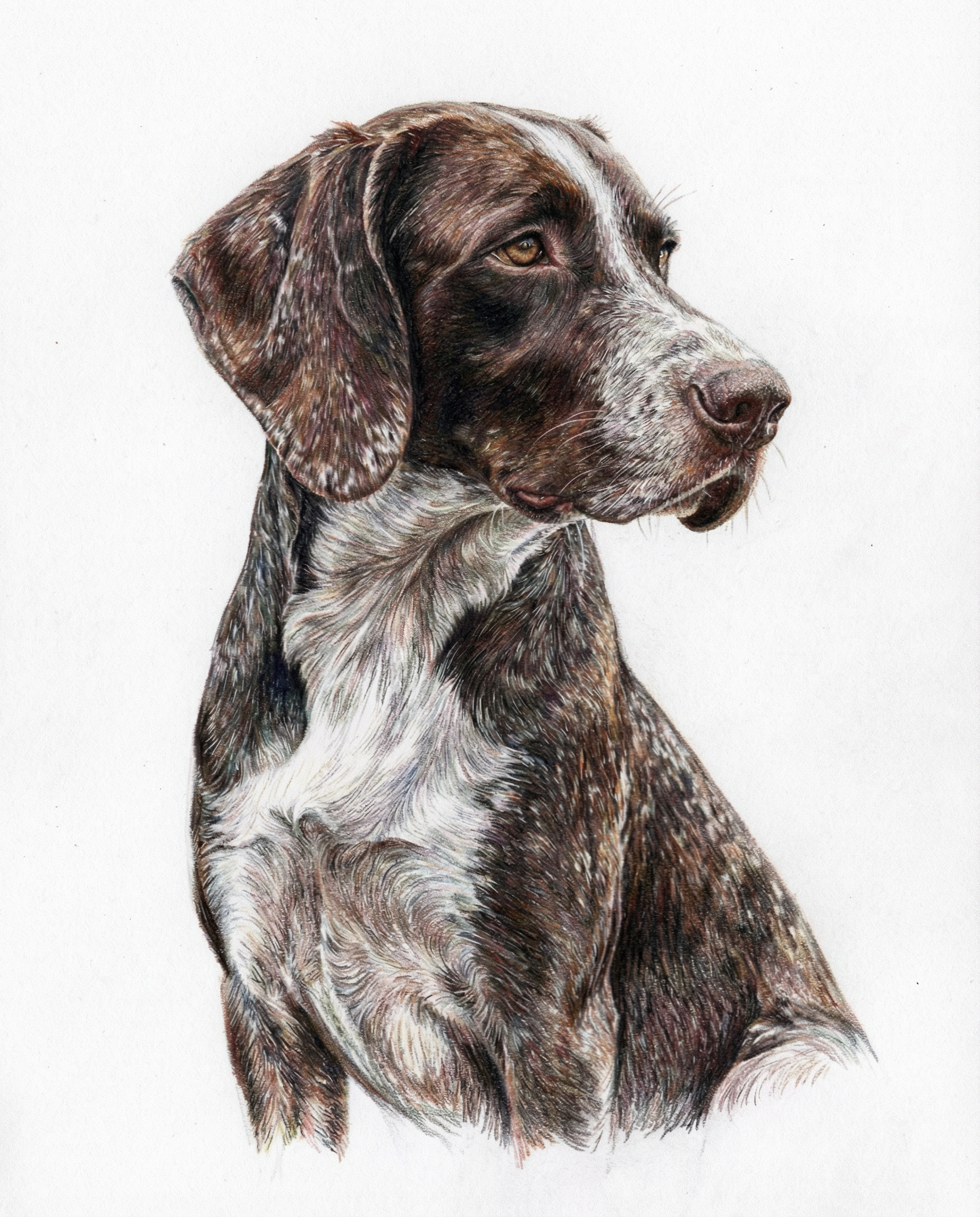 Original Art