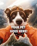 Your Pet Goes Here