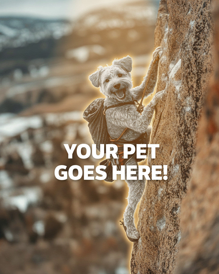 Your Pet Goes Here