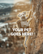 Your Pet Goes Here