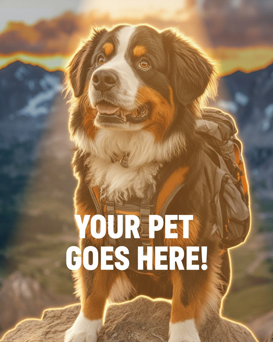 Your Pet Goes Here
