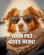 Your Pet Goes Here