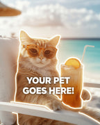 Your Pet Goes Here
