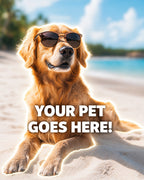 Your Pet Goes Here