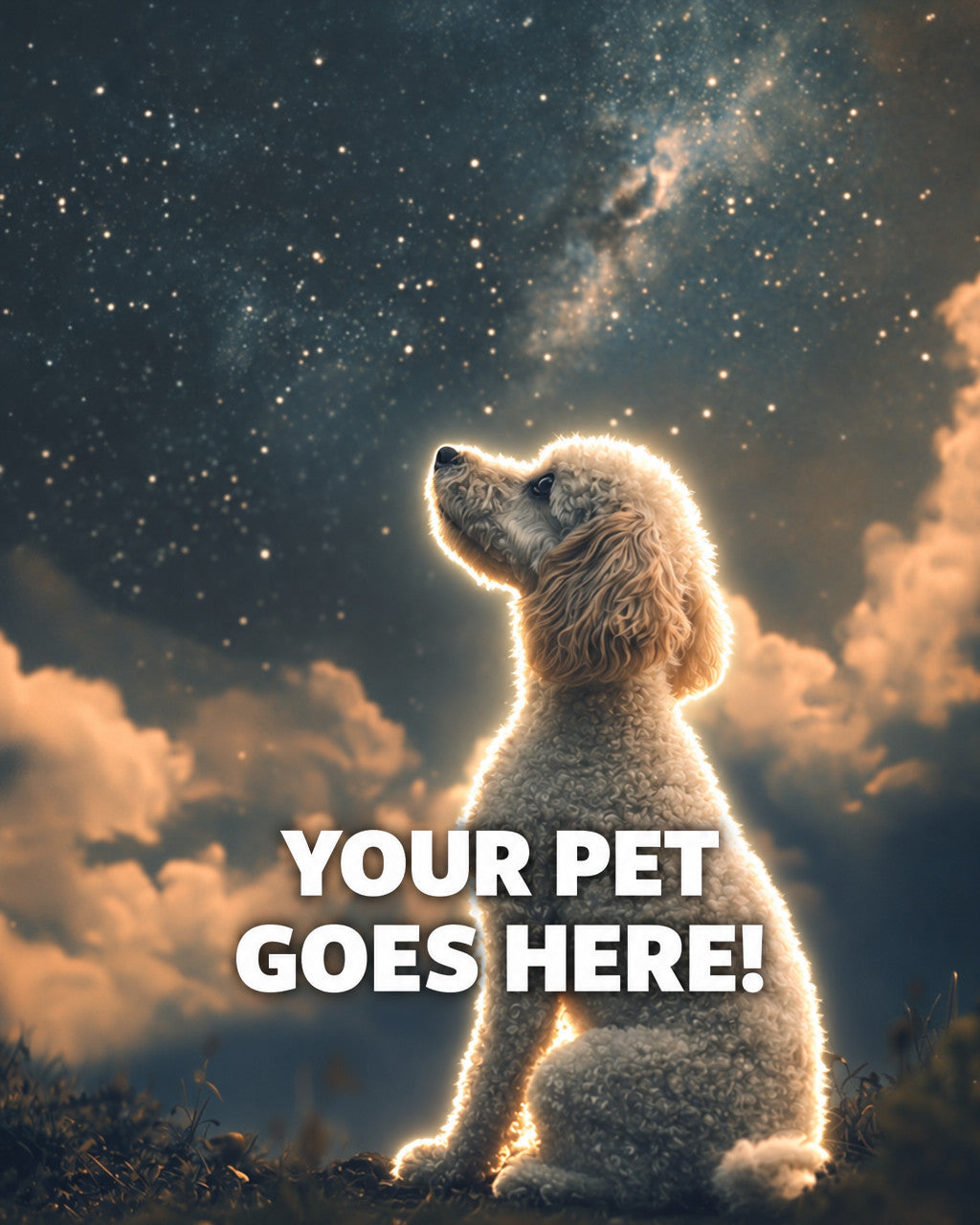 Your Pet Goes Here