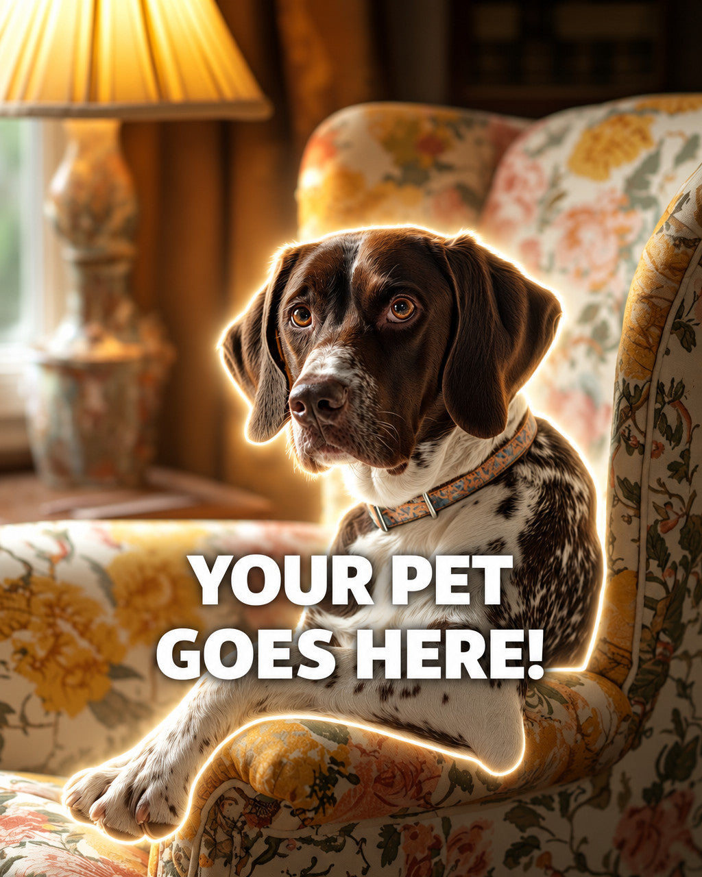 Your Pet Goes Here