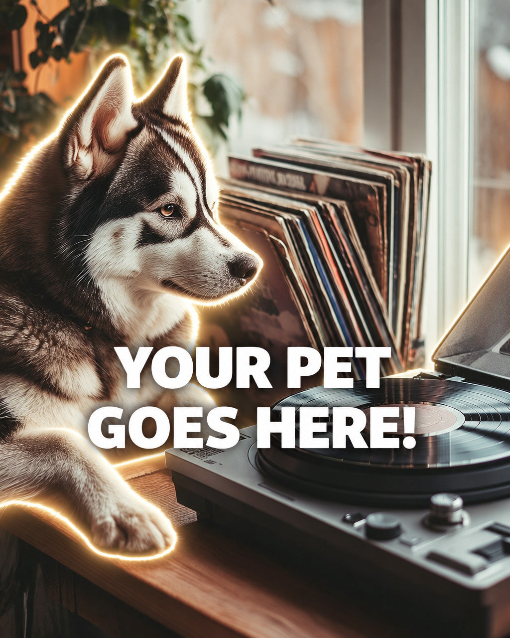 Your Pet Goes Here