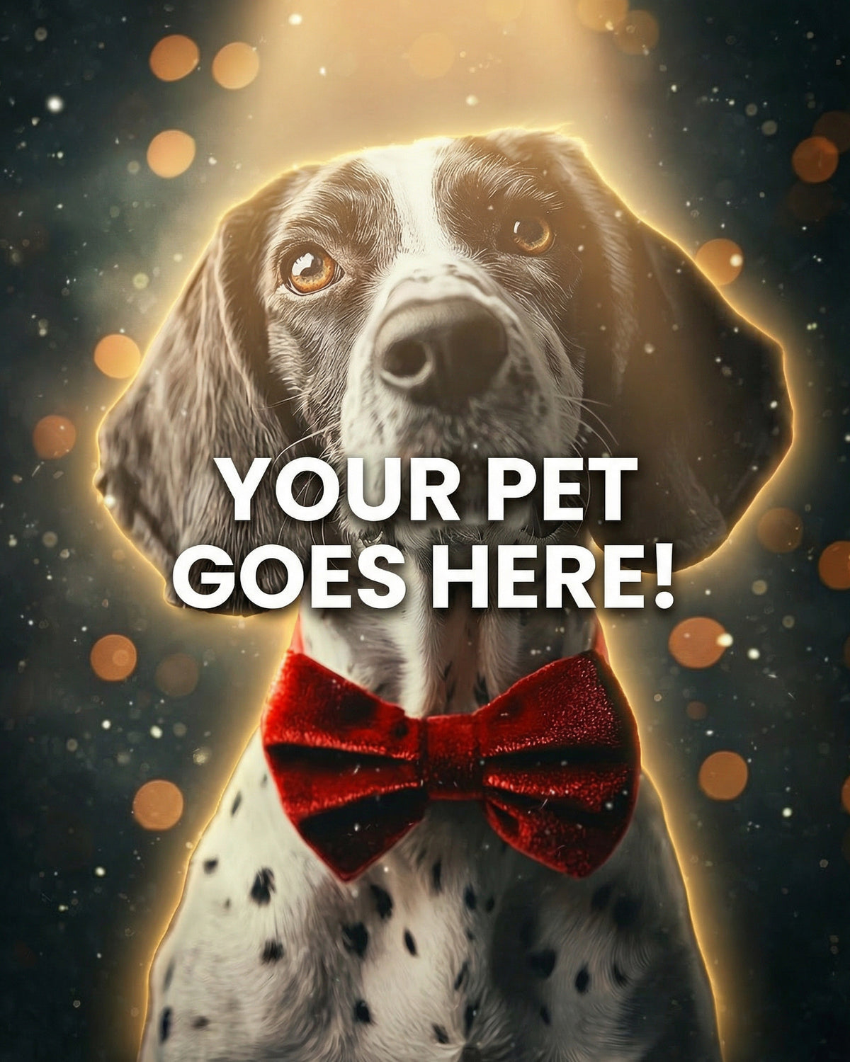 Your Pet Goes Here