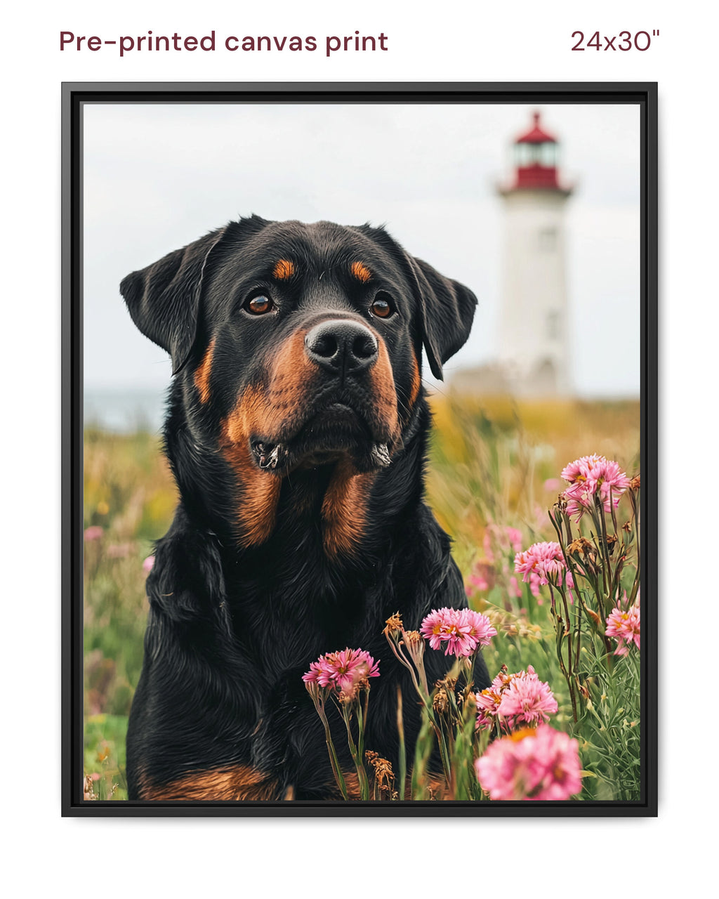 Canvas Print 24x30 Framed Black