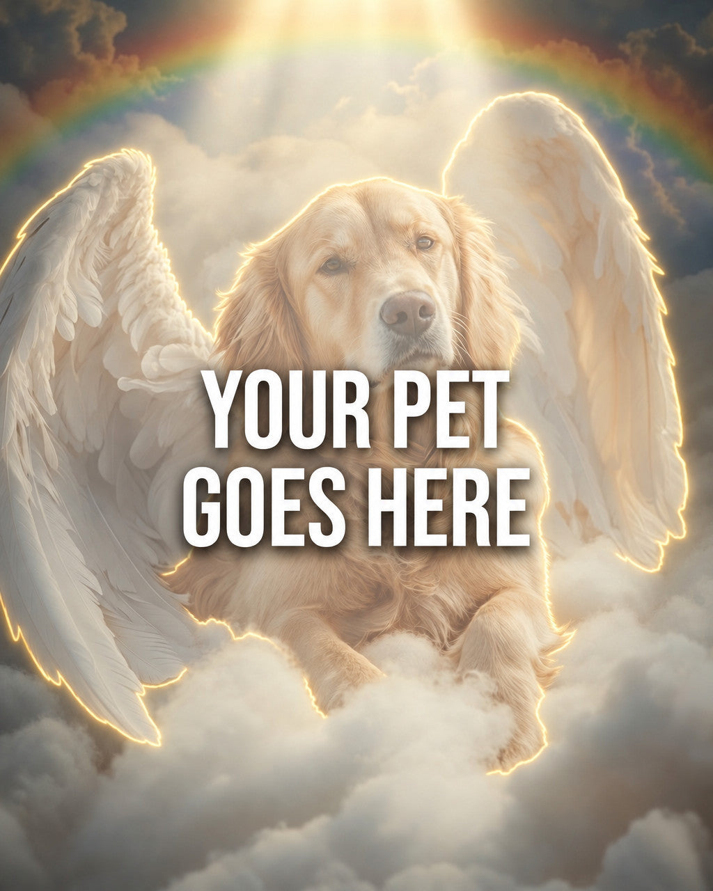 Your Pet Goes Here