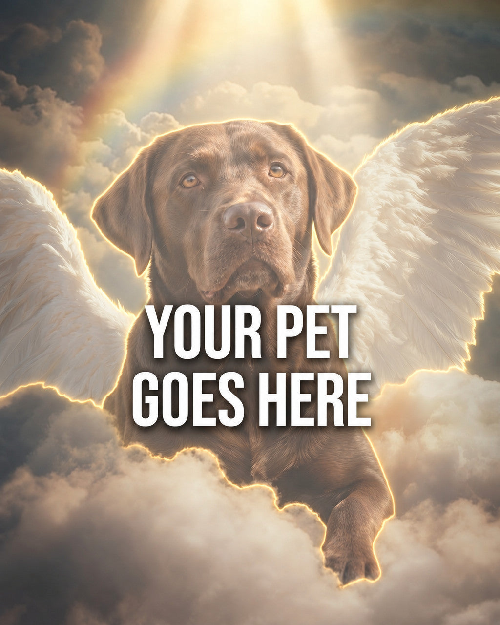 Your Pet Goes Here