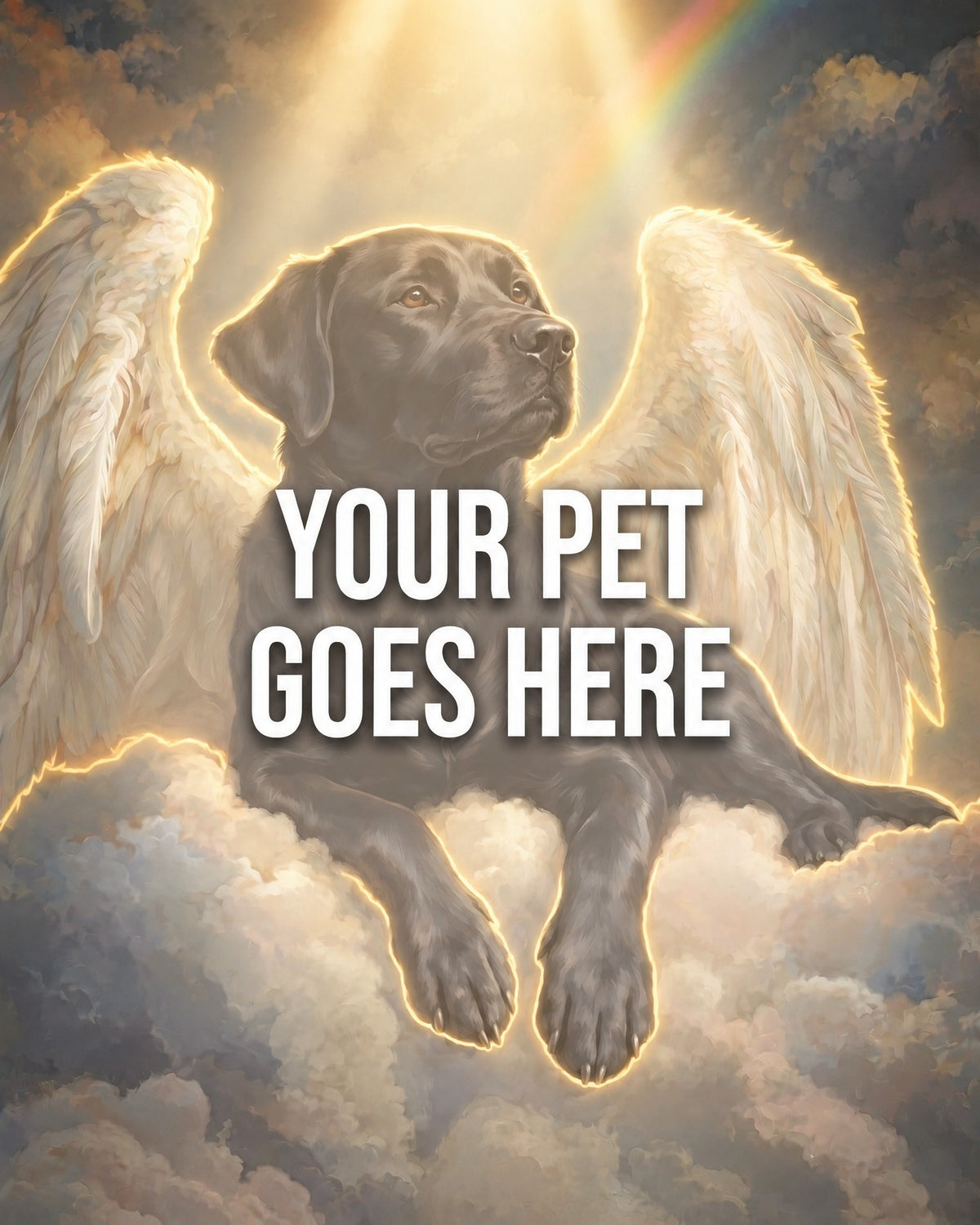 Your Pet Goes Here