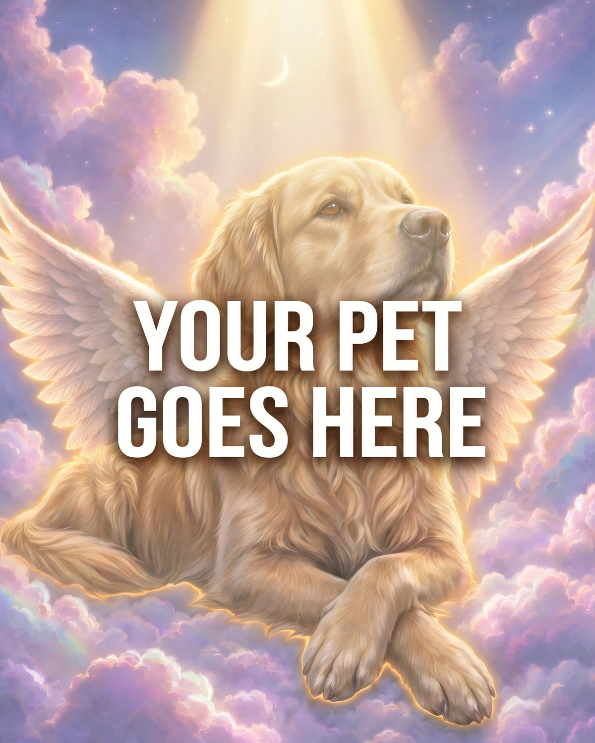 Your Pet Goes Here