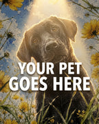Your Pet Goes Here
