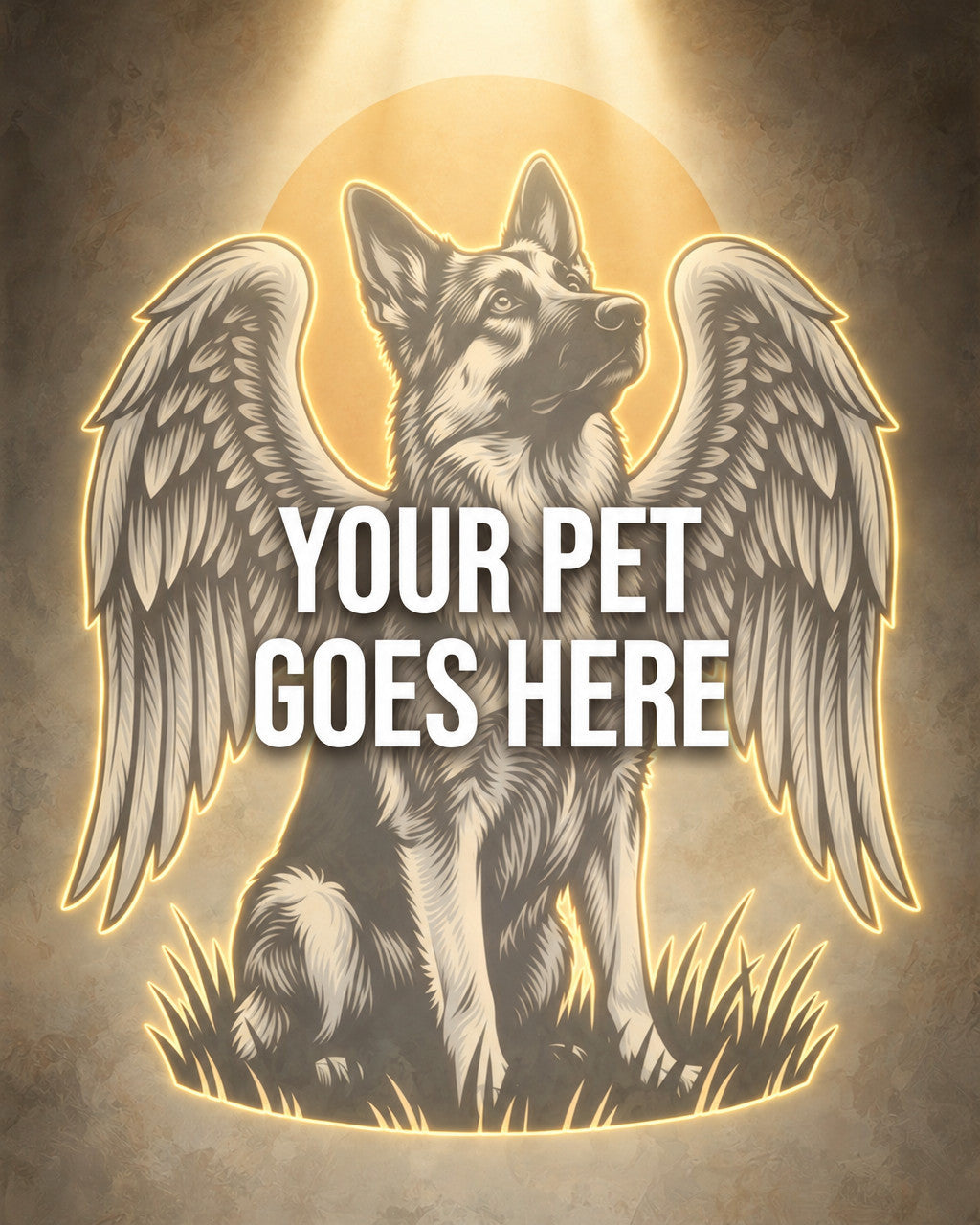 Your Pet Goes Here
