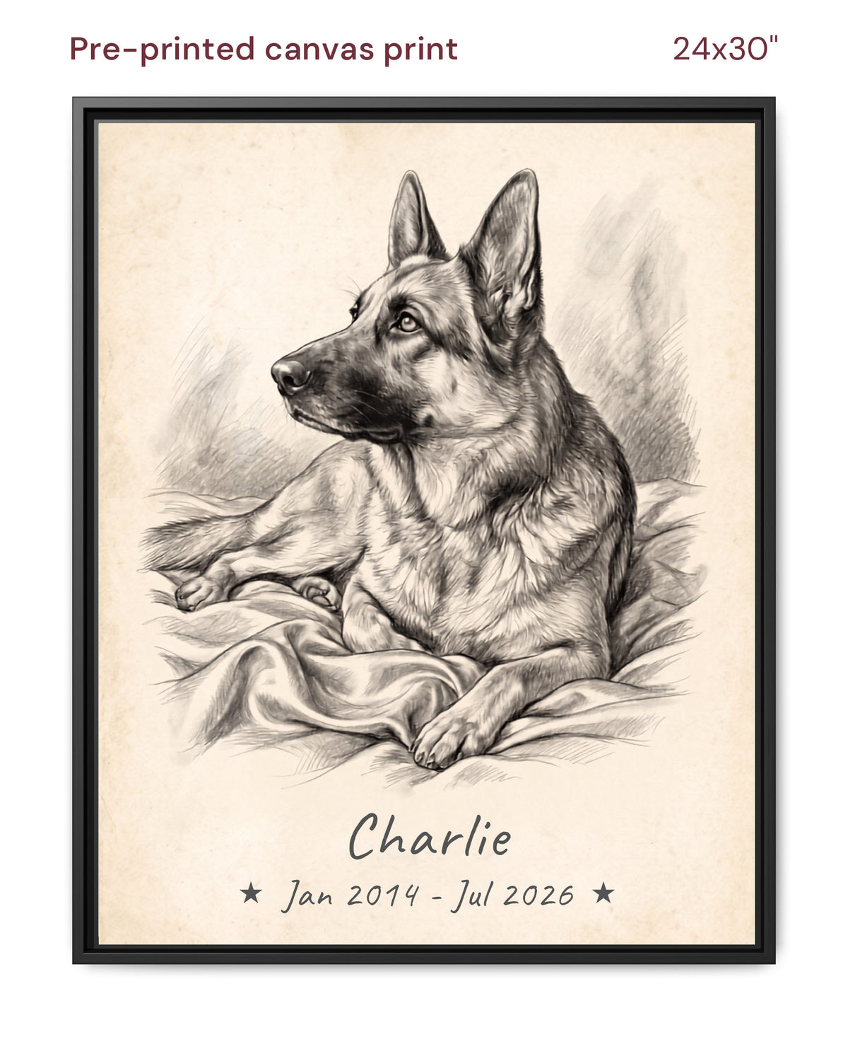 Canvas Print 24x30 Framed Black