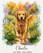 Original Art