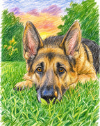 Original Art