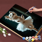 Ballet Tutu Star