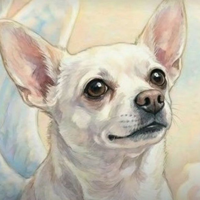 Christine Z.'s pet, Monroe, in the Angelic Guardian art.